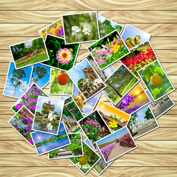 collecting images for vision book